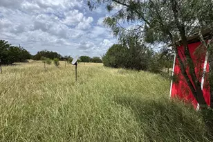 11009 S Hwy 183 Hwy, Briggs, TX 76550 - Photo 22