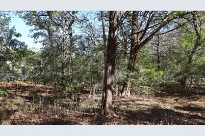 Tbd Choctaw Trail, Smithville, TX 78957 - Photo 2