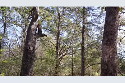 Tbd Choctaw Trail, Smithville, TX 78957 - Photo 12