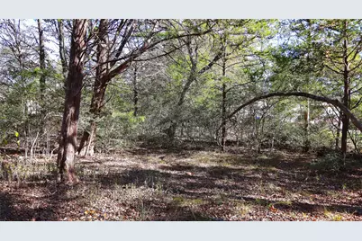 Tbd Choctaw Trail, Smithville, TX 78957 - Photo 10