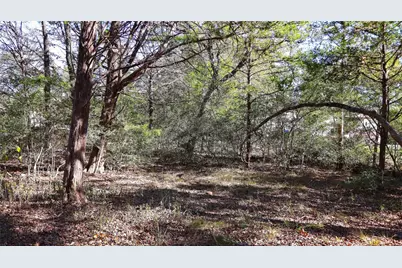 Tbd Choctaw Trail, Smithville, TX 78957 - Photo 1