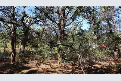 Tbd Choctaw Trail, Smithville, TX 78957 - Photo 18