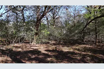 Tbd Choctaw Trail, Smithville, TX 78957 - Photo 6