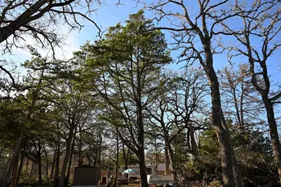 Tbd Choctaw Trail, Smithville, TX 78957 - Photo 36