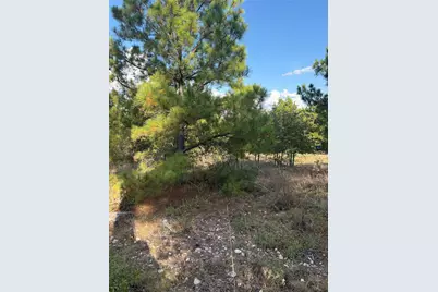 Lot 702 Oahu Court, Bastrop, TX 78602 - Photo 2