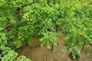 4520 Speedway B, Austin, TX 78751 - Photo 24