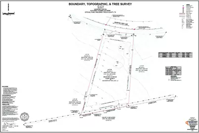 6409 Madrone Tree Lane, Austin, TX 78738 - Photo 8