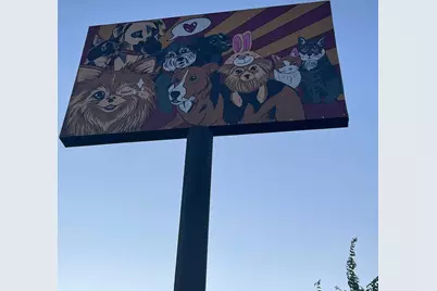 909 Reinli Street #136, Austin, TX 78751 - Photo 18