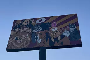 909 Reinli St, Austin, TX 78751 - Photo 18