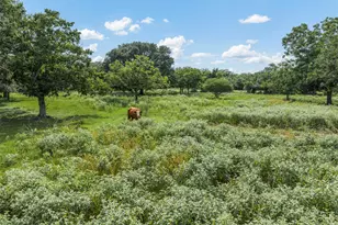 2005 W Grand Ave, Yoakum, TX 77995 - Photo 16