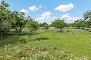 2005 W Grand Ave, Yoakum, TX 77995 - Photo 12