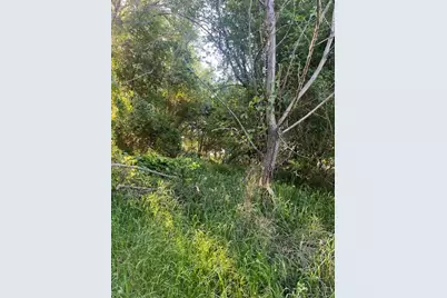 Lot 768 Kaukonahua Lane, Bastrop, TX 78602 - Photo 6
