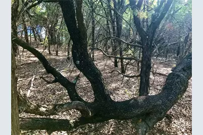 8126 Chantilly Trail, Leander, TX 78645 - Photo 4