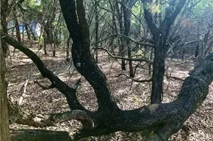 8126 Chantilly Trail, Leander, TX 78645 - Photo 4