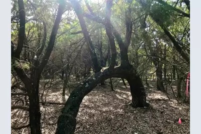 8126 Chantilly Trail, Leander, TX 78645 - Photo 2