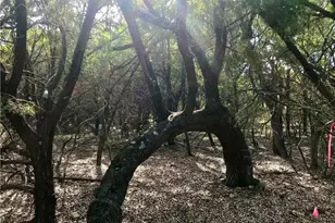 8126 Chantilly Trail, Leander, TX 78645 - Photo 2