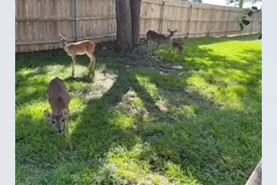 4159 Steck Avenue #148, Austin, TX 78759 - Photo 20