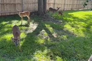 4159 Steck Ave, Austin, TX 78759 - Photo 20