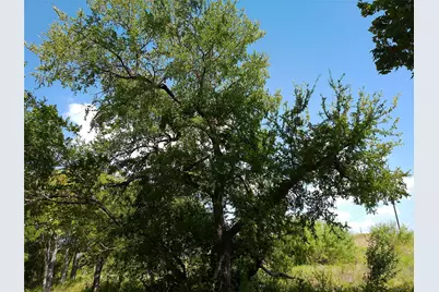 Lot 29 Serenity Drive, Bertram, TX 78605 - Photo 8