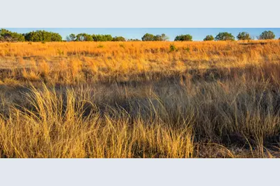 Tbd Fm 1047, Lometa, TX 76853 - Photo 40