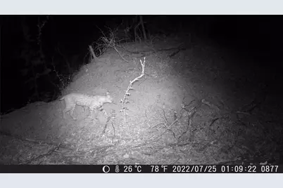 Tbd Fm 1047, Lometa, TX 76853 - Photo 36