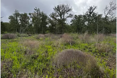 0 County Road 467, Thrall, TX 76578 - Photo 20
