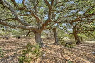 531 Co Rd 258, Bertram, TX 78605 - Photo 18