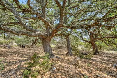 545 County Road 258, Bertram, TX 78605 - Photo 18