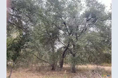 Tbd County Road 405, Buckholts, TX 76518 - Photo 2