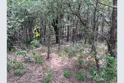 103 Mann Lane, Cedar Creek, TX 78612 - Photo 2