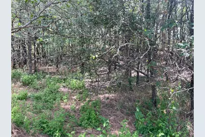 103 Mann Lane, Cedar Creek, TX 78612 - Photo 4