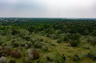 Lot 3 Private Road 4601, Waelder, TX 78959 - Photo 1