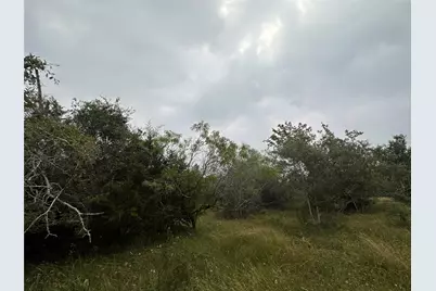 Lot 3 Private Road 4601, Waelder, TX 78959 - Photo 10