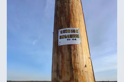 3001 Dolphin Drive, Coupland, TX 78615 - Photo 6