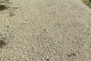 3001 Dolphin Dr, Coupland, TX 78615 - Photo 6