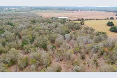 3980 (Tract 5) Fm 3158, Dale, TX 78616 - Photo 12