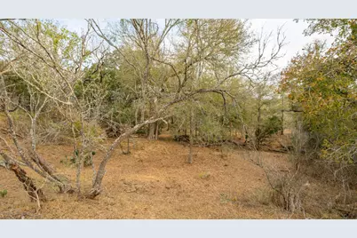 3980 (Tract 5) Fm 3158, Dale, TX 78616 - Photo 10