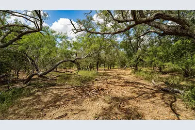 3980 (Tract 5) Fm 3158, Dale, TX 78616 - Photo 6