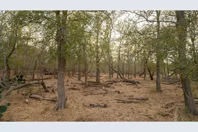 3980 (Tract 5) Fm 3158, Dale, TX 78616 - Photo 6