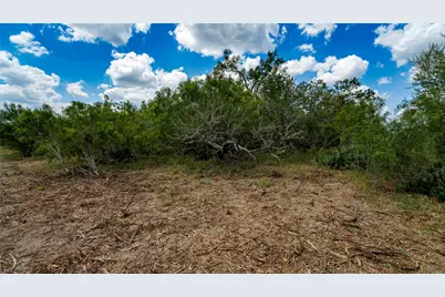 3980 (Tract 5) Fm 3158, Dale, TX 78616 - Photo 12