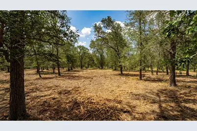 3980 (Tract 5) Fm 3158, Dale, TX 78616 - Photo 22