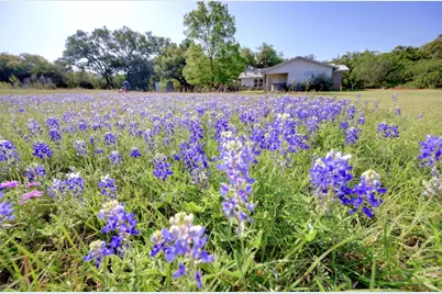 842 Cougar Drive, Canyon Lake, TX 78133 - Photo 24