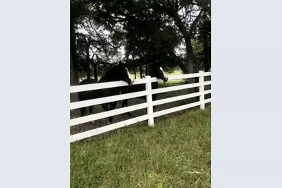 555 River Run, Leander, TX 78641 - Photo 6