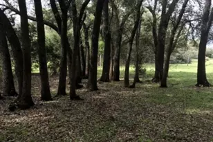 555 River Run, Leander, TX 78641 - Photo 8