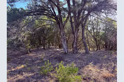 3600 Stagecoach Ranch Loop, Dripping Springs, TX 78620 - Photo 8