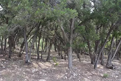 18505 Monet Pointe Drive, Jonestown, TX 78645 - Photo 20