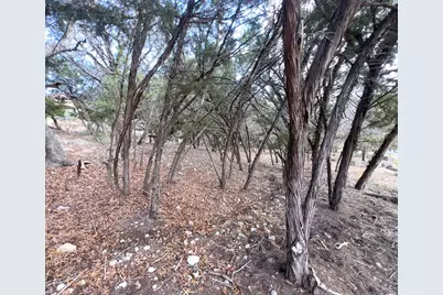 18505 Monet Pointe Drive, Jonestown, TX 78645 - Photo 18