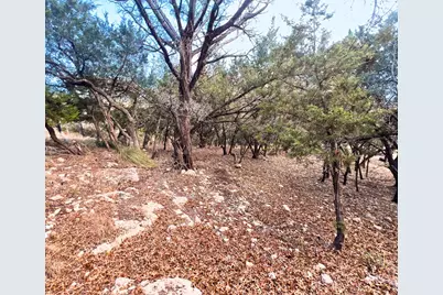 18505 Monet Pointe Drive, Jonestown, TX 78645 - Photo 16