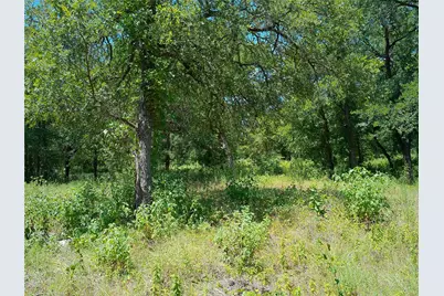 212 Serenity Drive, Liberty Hill, TX 78642 - Photo 6