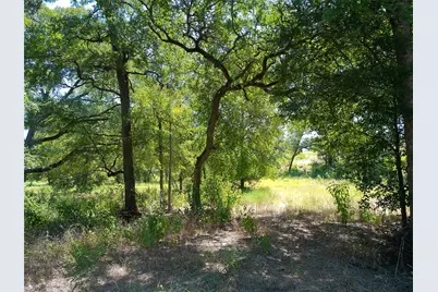 212 Serenity Drive, Liberty Hill, TX 78642 - Photo 4